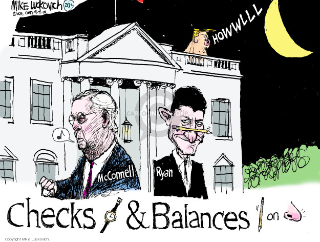 The Checks And Balances Editorial Cartoons | The Editorial Cartoons