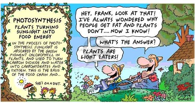 Cartoonist Bob Thaves Tom Thaves  Frank and Ernest 2004-03-14 