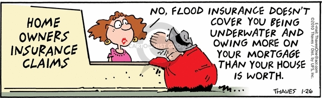 flood insurance cartoon