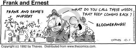Cartoonist Bob Thaves Tom Thaves  Frank and Ernest 1992-12-01 