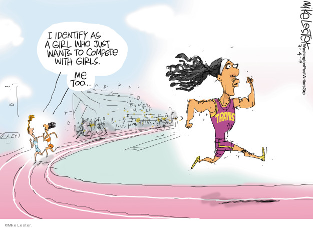 Mike Lesters Editorial Cartoons Gender Identity Comics And Cartoons The Cartoonist Group 