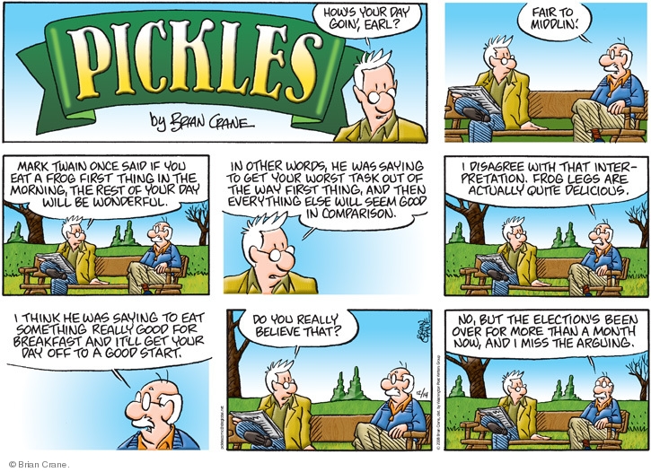 Pickles Interpretation Comic Strips The Comic Strips 