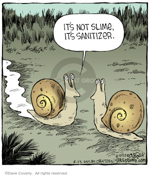 The Snail Comic Strips | The Comic Strips